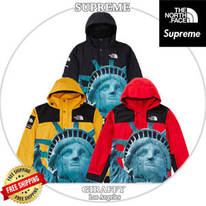 シュプリーム ノースフェイス 偽物​ シュプリーム バルトロ N級品/The North Face Statue Of Liberty Mountain Jacket