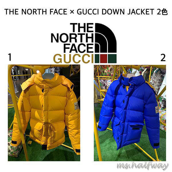 グッチ ノースフェイス コピー コラボ THE NORTH FACE × グッチ DOWN JACKET ダウンコート2色