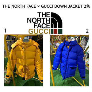 グッチ ノースフェイス コピー コラボ THE NORTH FACE × グッチ DOWN JACKET ダウンコート2色