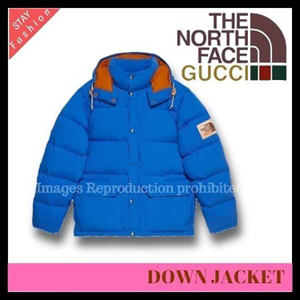 グッチ ノースフェイス コピー 歴史的コラボ入手困難!グッチ×THE NORTH FACE BLUE DOWN JACKET