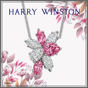 Harry Winston（ハリーウィンストン ネックレス コピー）- クラスターペンダント