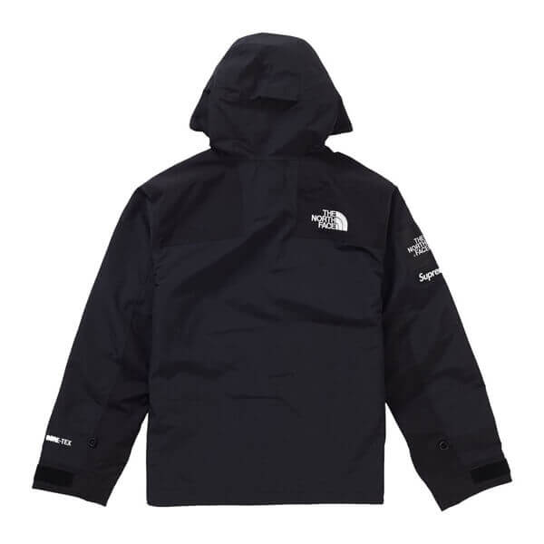 シュプリーム/ノースフェイス 偽物 アーク ロゴ マウンテン パーカ The North Face X シュプリーム Arc Logo Mountain Parka SS19 WEEK 5