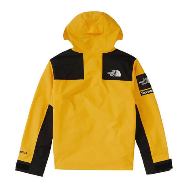 シュプリーム/ノースフェイス 偽物 アーク ロゴ マウンテン パーカ The North Face X シュプリーム Arc Logo Mountain Parka SS19 WEEK 5