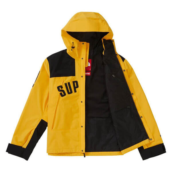 シュプリーム/ノースフェイス 偽物 アーク ロゴ マウンテン パーカ The North Face X シュプリーム Arc Logo Mountain Parka SS19 WEEK 5