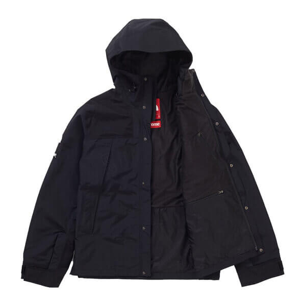 シュプリーム/ノースフェイス 偽物 アーク ロゴ マウンテン パーカ The North Face X シュプリーム Arc Logo Mountain Parka SS19 WEEK 5