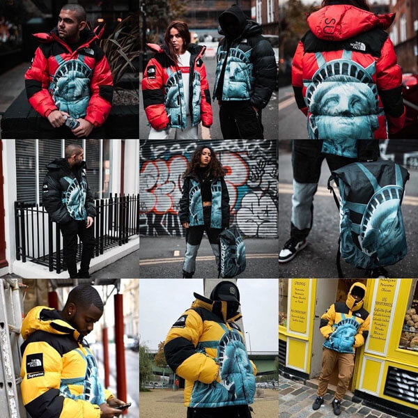 シュプリーム ノースフェイス 偽物 シュプリーム/The North Face Statue Of Liberty Mountain Jacket