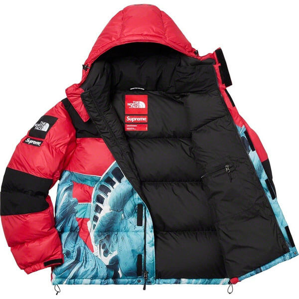 シュプリーム ノースフェイス 偽物 シュプリーム/The North Face Statue Of Liberty Mountain Jacket