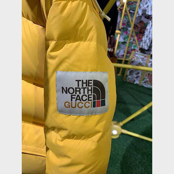 グッチ ノースフェイス コピー コラボ THE NORTH FACE × グッチ DOWN JACKET ダウンコート2色