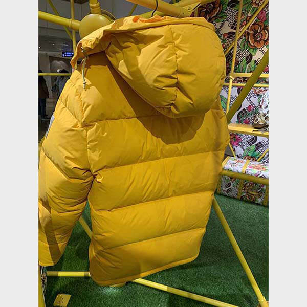 グッチ ノースフェイス コピー コラボ THE NORTH FACE × グッチ DOWN JACKET ダウンコート2色